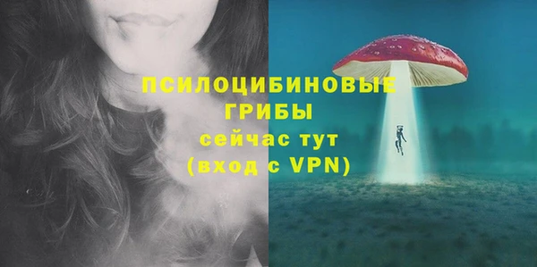 круглые Алзамай