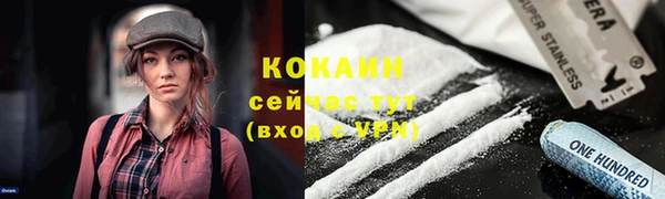 соль ск Алексеевка