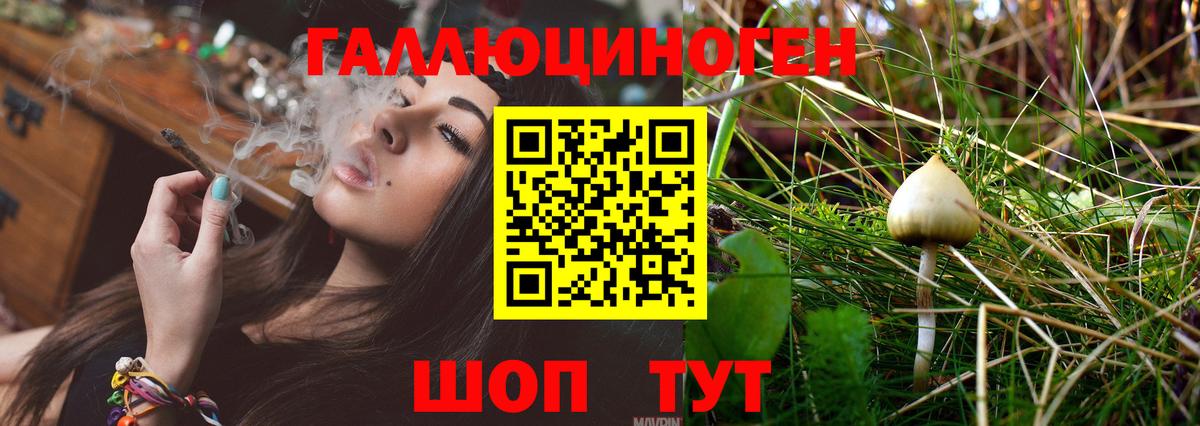 Березники  Псилоцибиновые грибы Psilocybine cubensis  Вход с VPN 