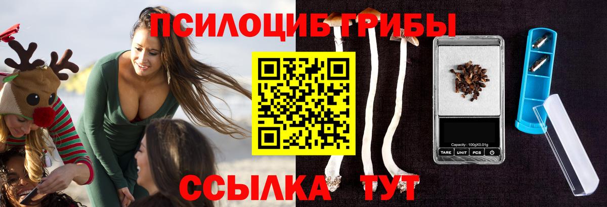 Псилоцибиновые грибы мухоморы Березники